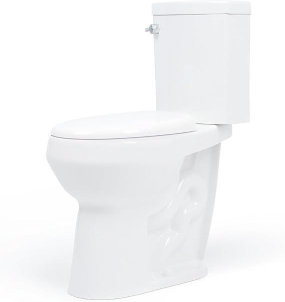 20 inch Extra Tall Toilet. Convenient Height bowl taller than ADA Comfort Height. Dual flush, Metal handle, Slow-close seat