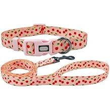 Dog Collar and Leash Set, Cute Pink Daisy Pattern, Polyester Material, 5ft Leash, for Small Dogs.(S, Daisy Set)